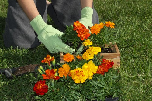 Gardener inspecting a residential garden