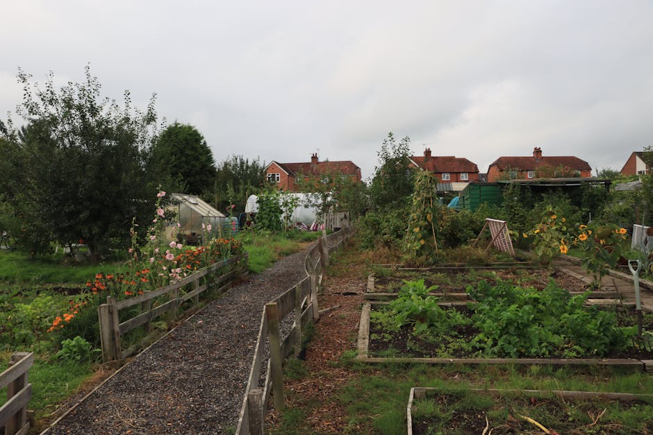 A view of a community garden near Deptford Market Yard SE8 showing a variety of cultivated beds with leafy greens, herbs, and flowering plants. The garden features raised wooden beds and low fences, w