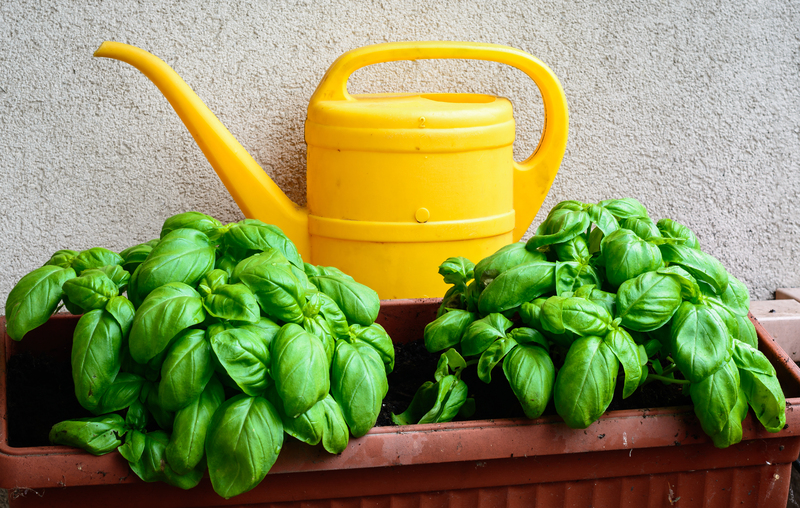 Turn Your Deck Into a Peaceful Escape with the Right Tall-Potted Plants
