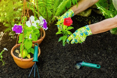 Deptford gardener maintaining a lush garden